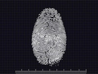 black & white image of a fingerprint with markers on three sides to reference measurements