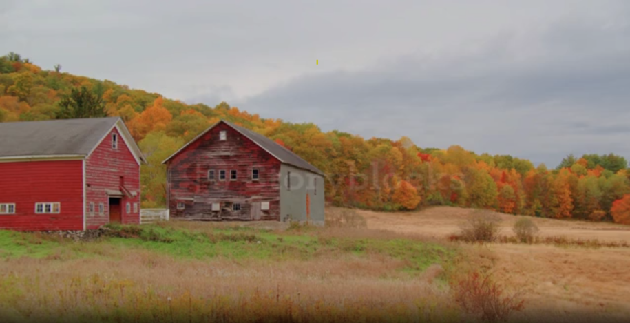 Countryside image with red barns